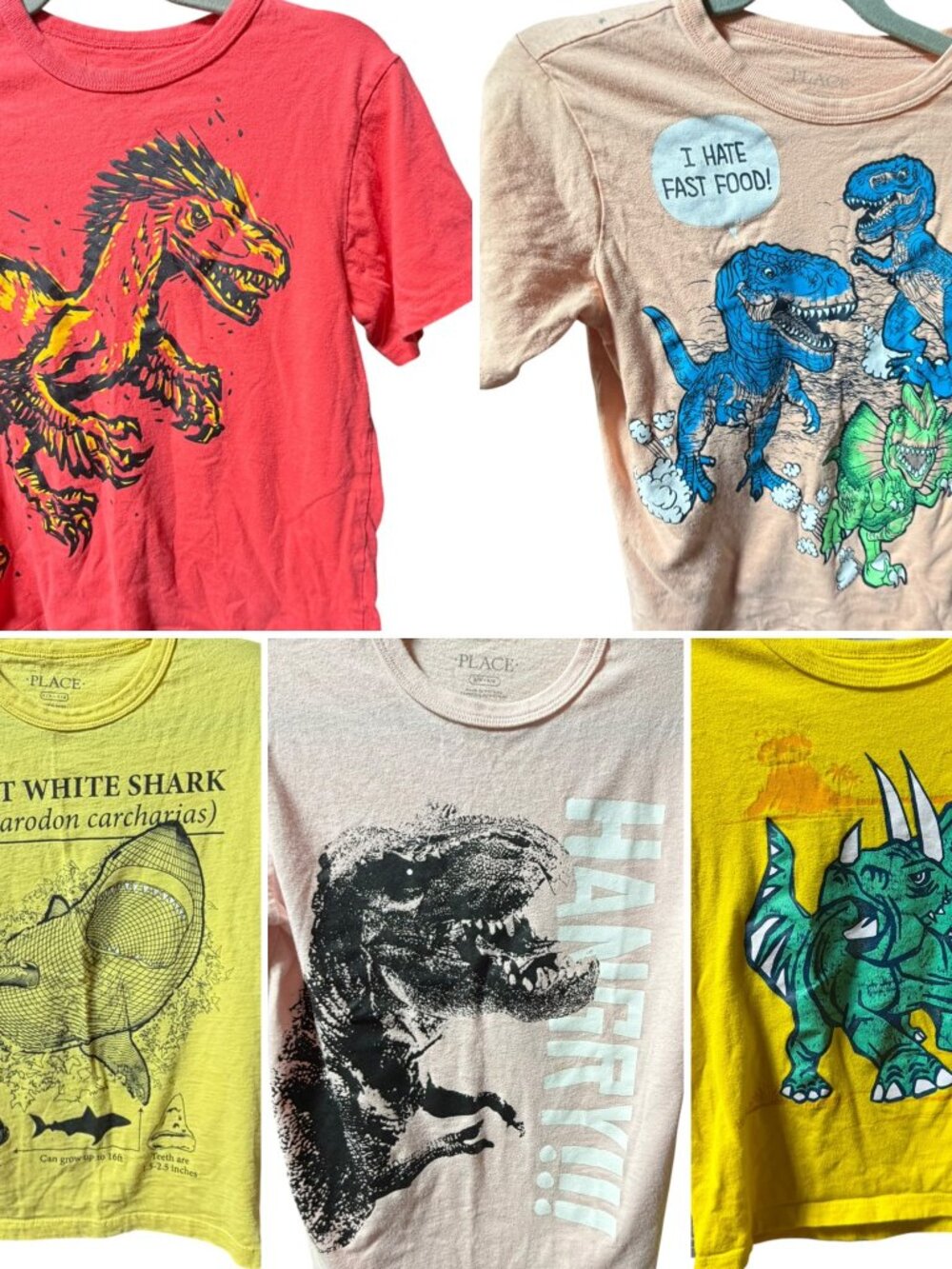 The Childrens Place Boys Size 5/6 Bundle Lot of 5 Short Sleeve T-Shirts Pac-Ma
